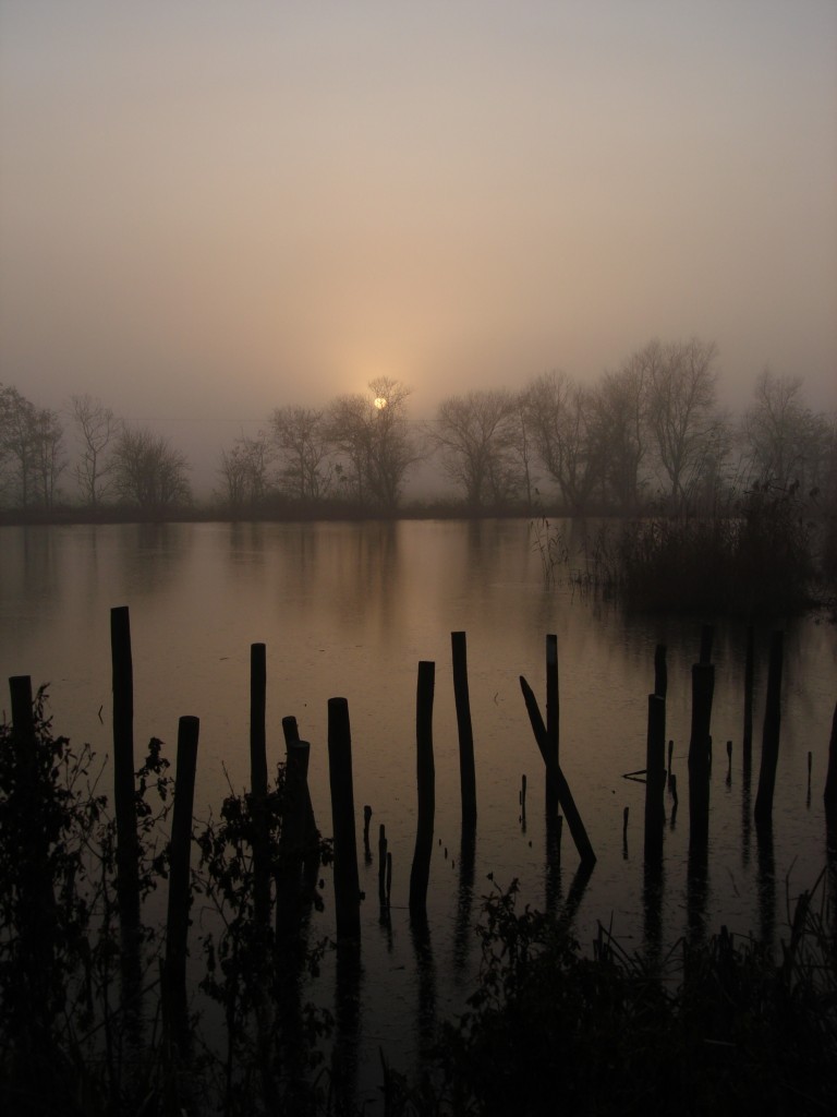 posts-showing-the-causeway-through-the-mere-lake-768x1024