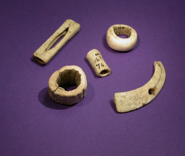 Wiltshire Museum Archaeology