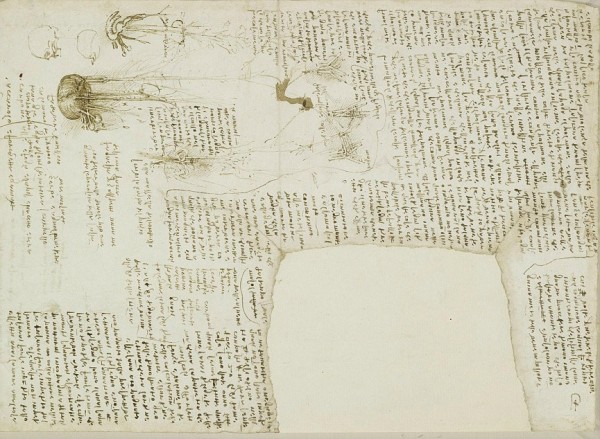 leonardo list 2