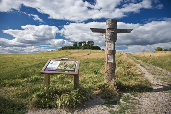 Wittenham Clumps - signpost & information board