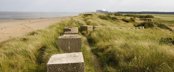 minsmere_tcm9-271257