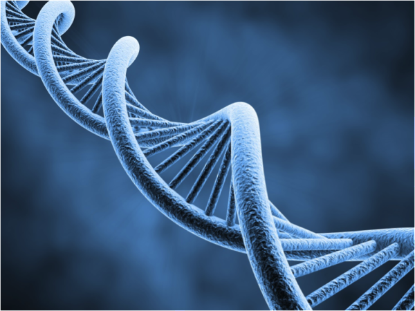 Ancient DNA.jpg