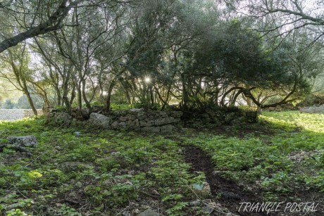 TAULA SANCTUARY SA CUDIA