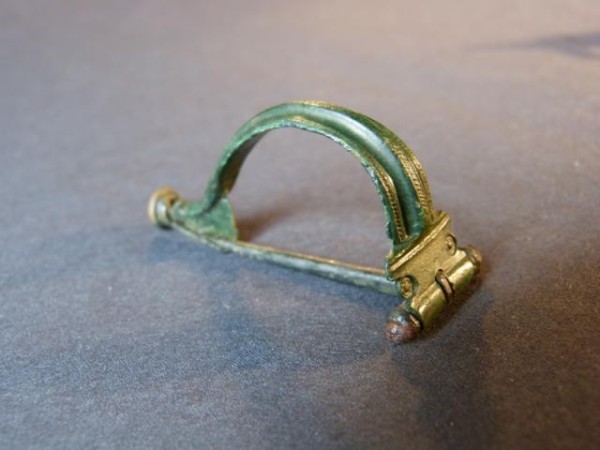 aucissa fibula