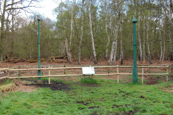 Holme_Fen_posts