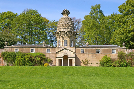 The-Dumore-Pineapple