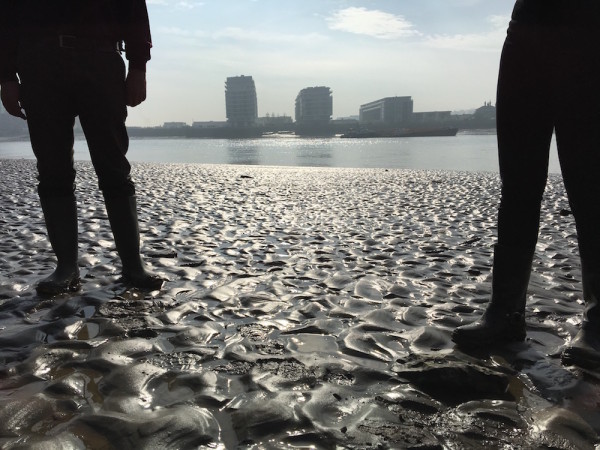 DW Thames Morning Mud