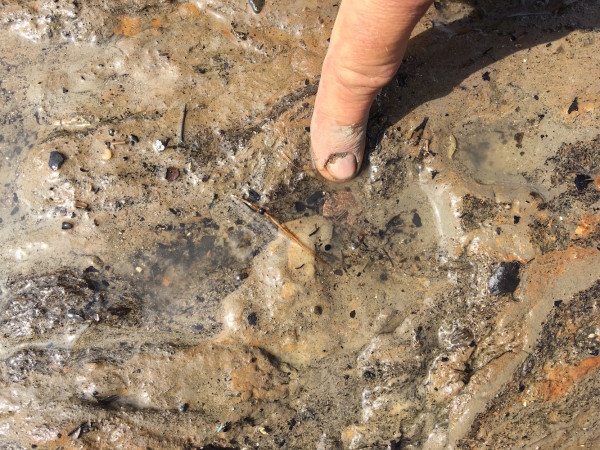 DW Thames coin in the mud