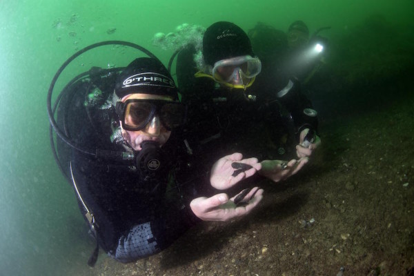 Garry and Lawrence recover Neolithic flint shards from the sea floor at Bouldnor Cliff. Image: courtesy Michael Pitts, Maritime Archaeology Trust