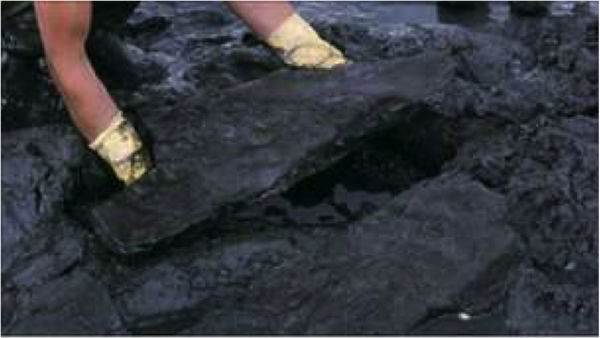 Recovering finds from the thick Langstone Harbour mud at low tide. Image vie BBC
