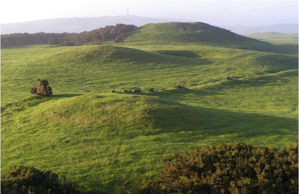 Bronkham Hill