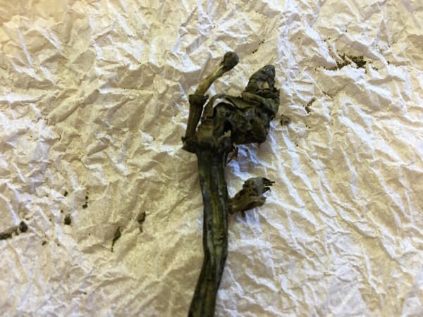 Bronze Age flower