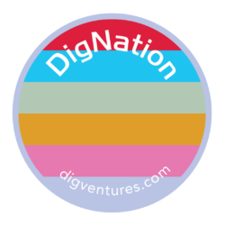 DigNation logo 2020
