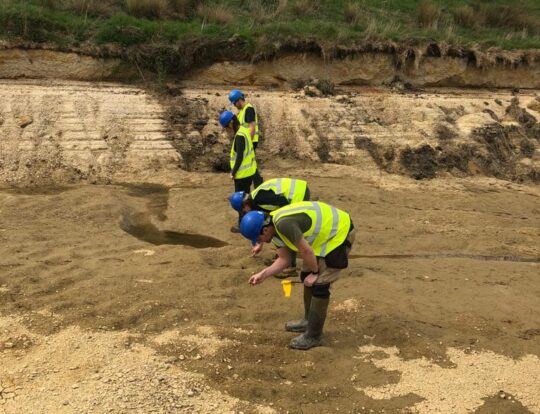 Research Team Fieldwalking