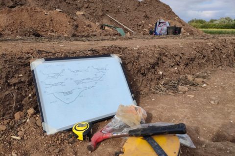 Recording discoveries in the field