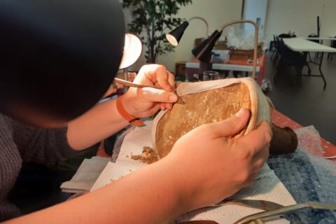 Handling artefacts in the Finds Room