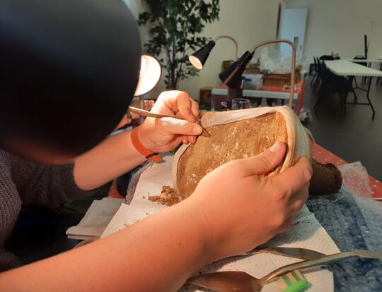 Handling artefacts in the Finds Room
