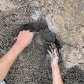 Lifting delicate remains