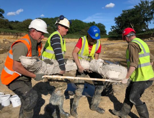 Lifting the mammoth tusk