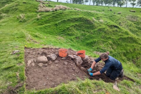 A woman digs a line of stones in a trench