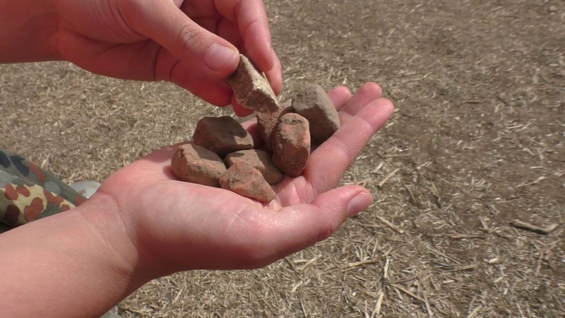 Elmswell Farm video site diary - episode 3