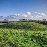 Soulton Hall dig