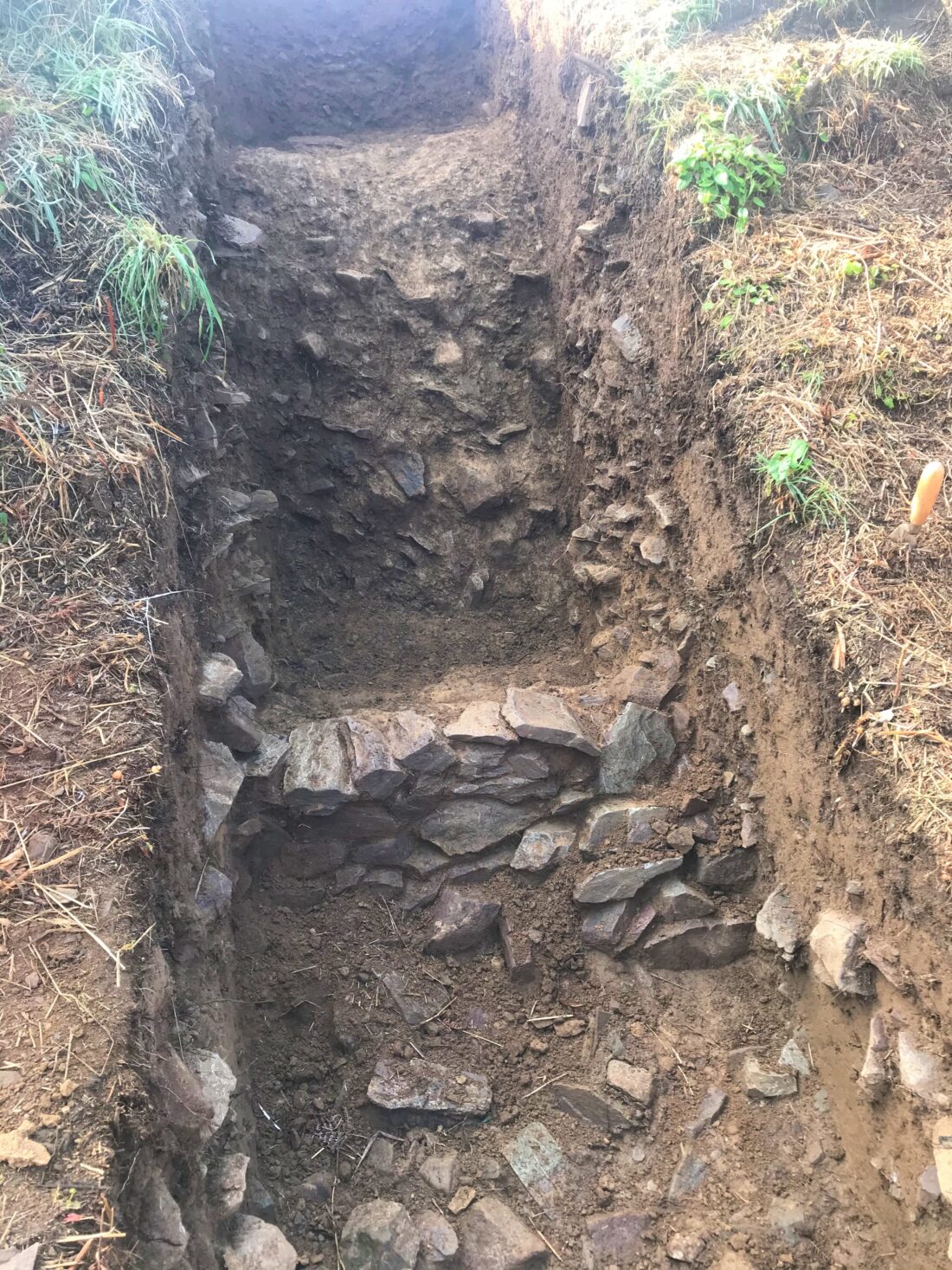 Small wall and possible further ditch