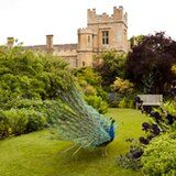 Sudeley Castle