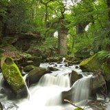 Spodden Valley project