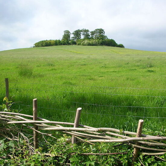 Round Hill Clumps