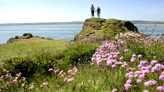 Two people stand on a scenic hill looking out to sea