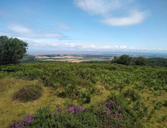 A view over the Quantocks