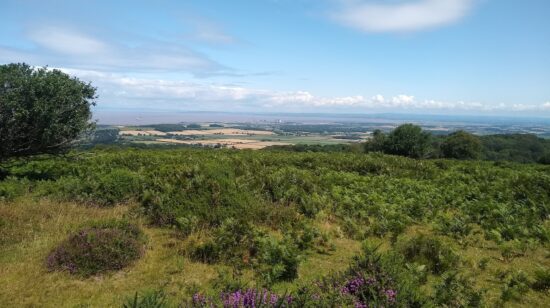 A view over the Quantocks